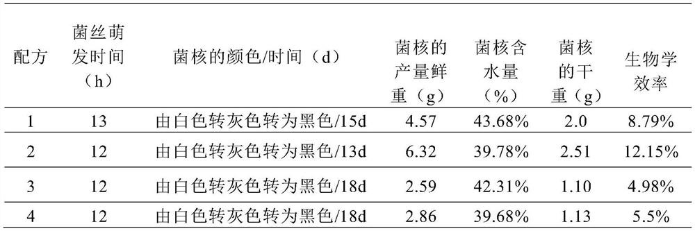 Xylaria striata strain and culture method of sclerotium of xylaria striata strain