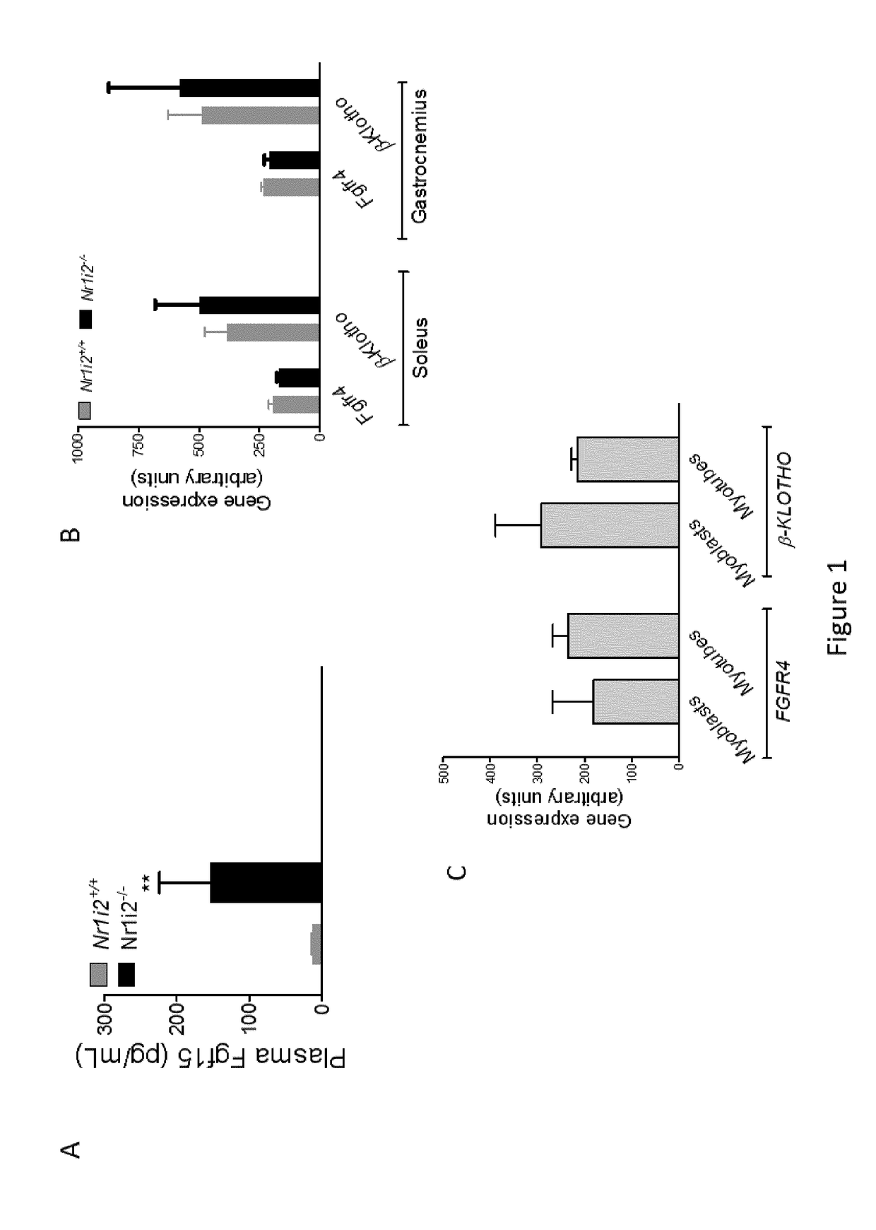 Novel therapeutic use of fgf19