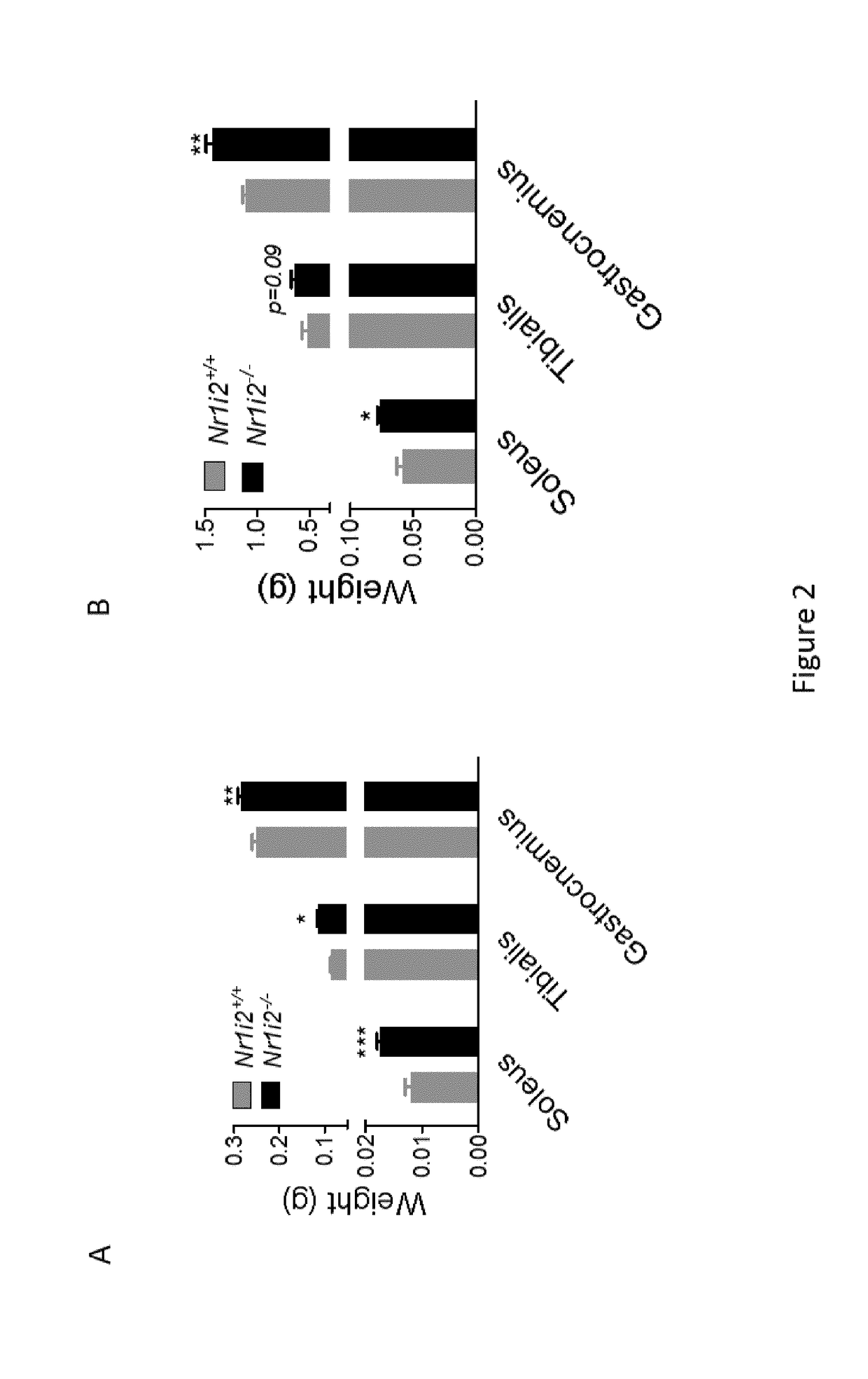 Novel therapeutic use of fgf19