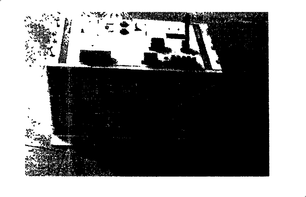 Single-phase gruonded fault protecting method for distributing net