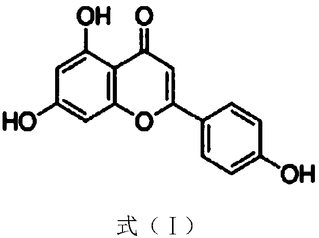 Use of Apigenin in preparation of drugs for inhibiting liver fibroblast proliferation