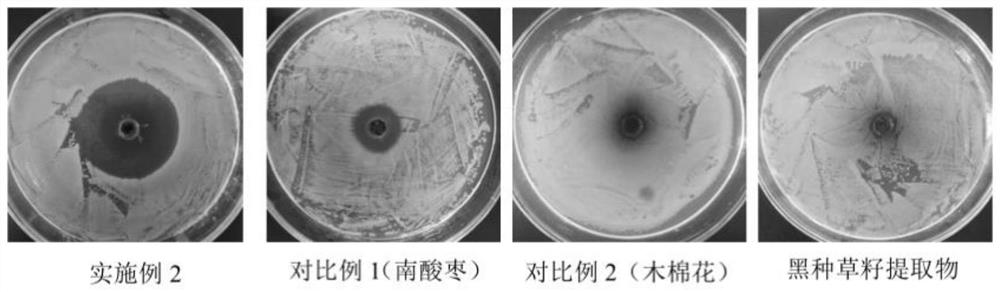 Choerospondias axillaris and dried bombax ceiba flower composition capable of inhibiting bacteria and removing body odor and preparation method thereof