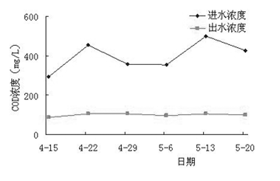 Application of Rumex dentatus L in treating livestock and poultry breeding waste water