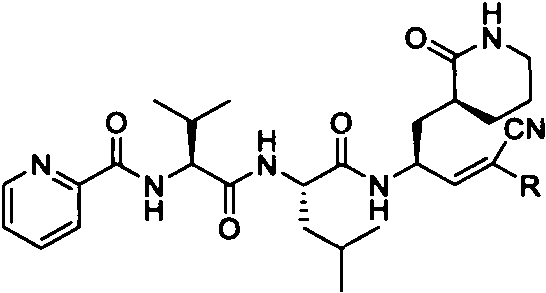 Preparation and application of Michael receptor main protease inhibitor targeting novel coronavirus