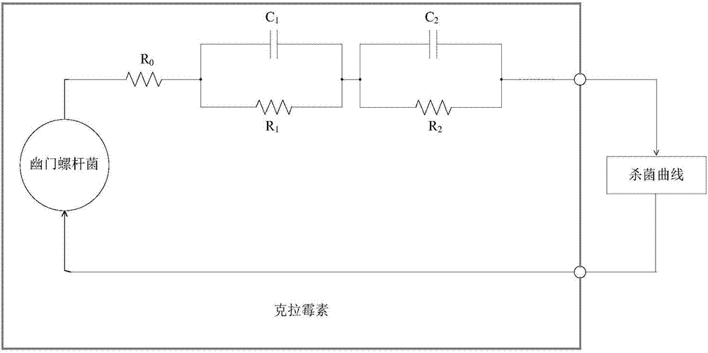 Method for determining quantitative indexes of sensibility and drug tolerance, for antibiotics, of helicobacter pylori