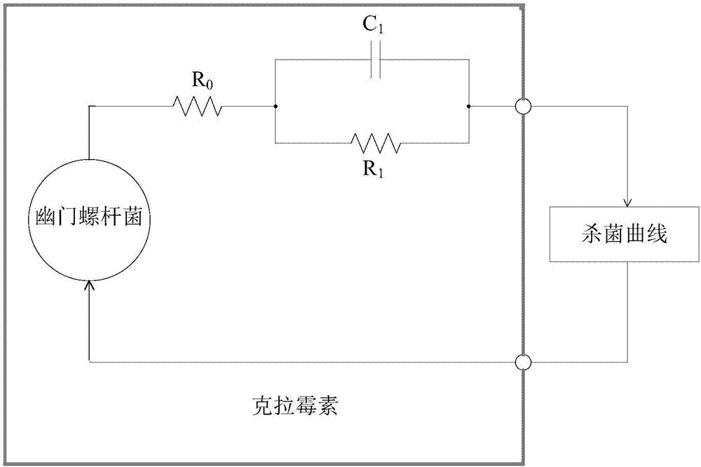 Method for determining quantitative indexes of sensibility and drug tolerance, for antibiotics, of helicobacter pylori