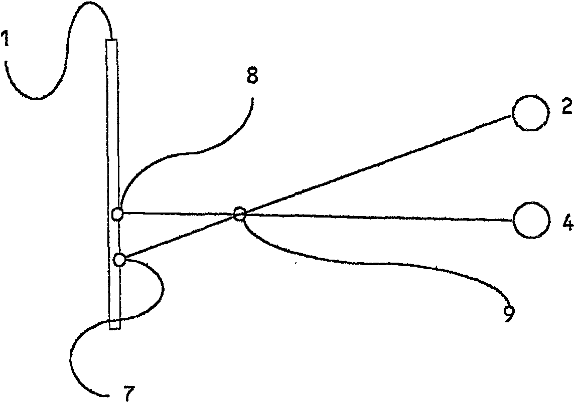 Directional display apparatus