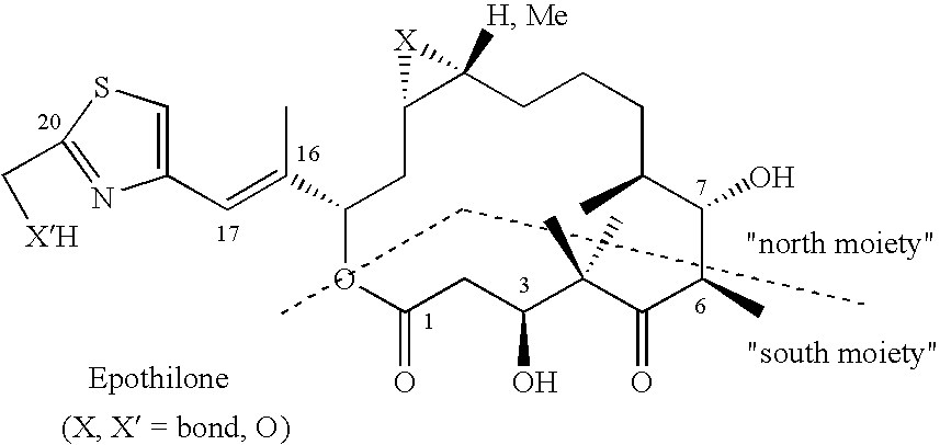 Epothilone synthesis building blocks iii and iv: asymmetrically substituted acyloins and acyloin derivatives, methods for their production and methods for the production of epothilones b, d and epothilone derivatives