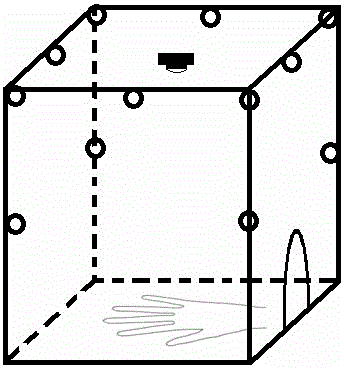 Hand function evaluation method based on image processing technology