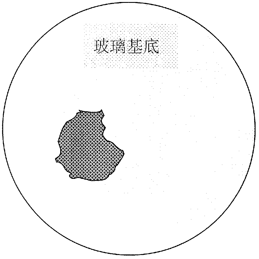 Method of adhering flexible thin-film material to glass substrate