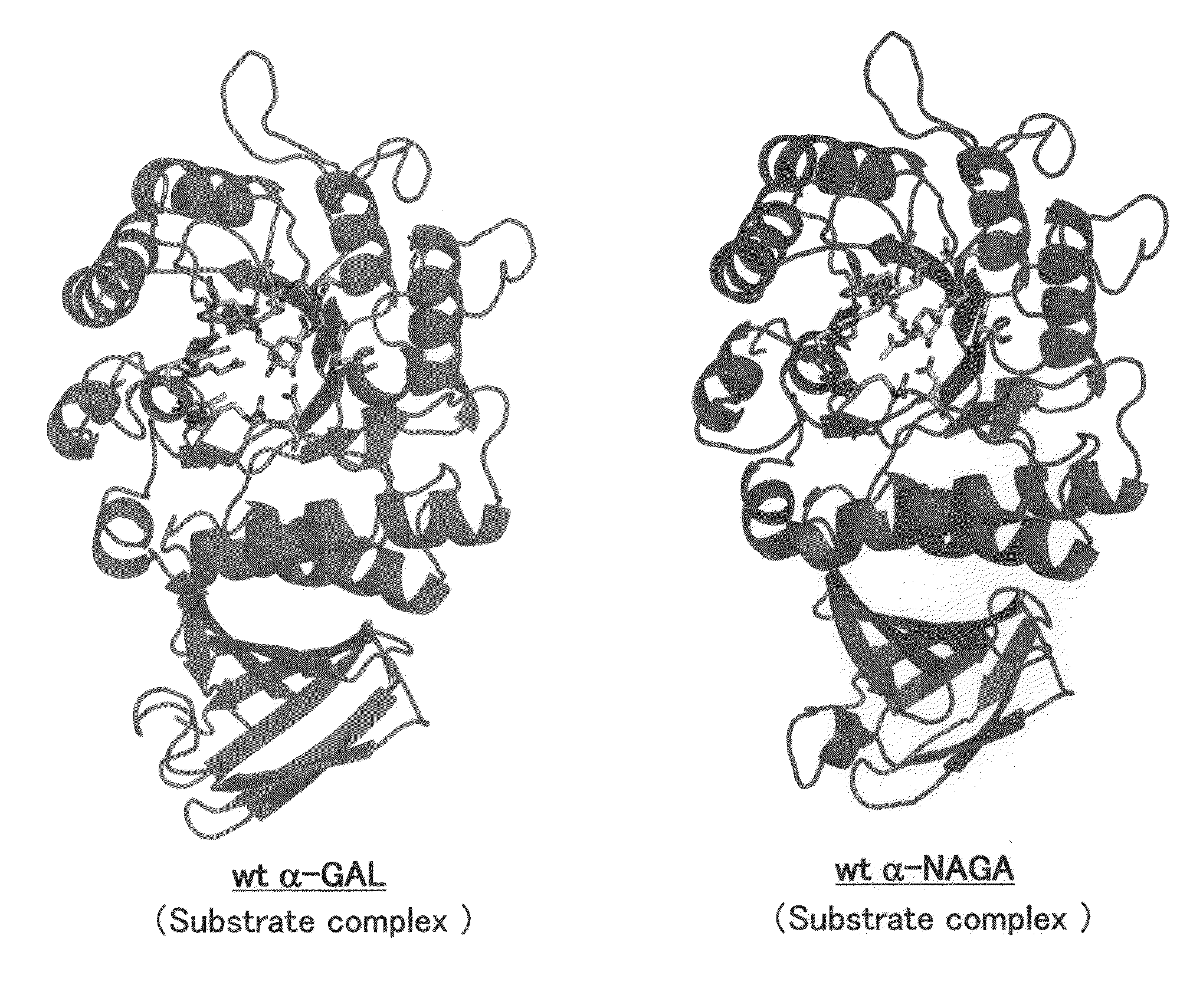 Pharmaceutical composition for enzyme replacement therapy