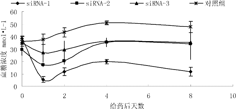 RNA interference sequences of glucagon receptor gene