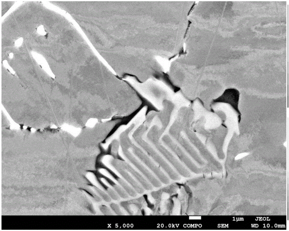 Iron-nickel-based high-temperature alloy