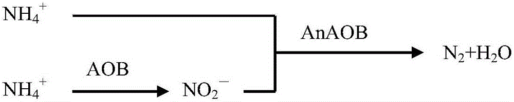 Two-stage constructed rapid infiltration system based on anaerobic ammonia oxidation and starting method thereof