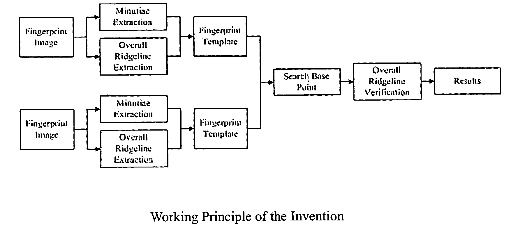 Fingerprint verification method and apparatus based on global ridgeline