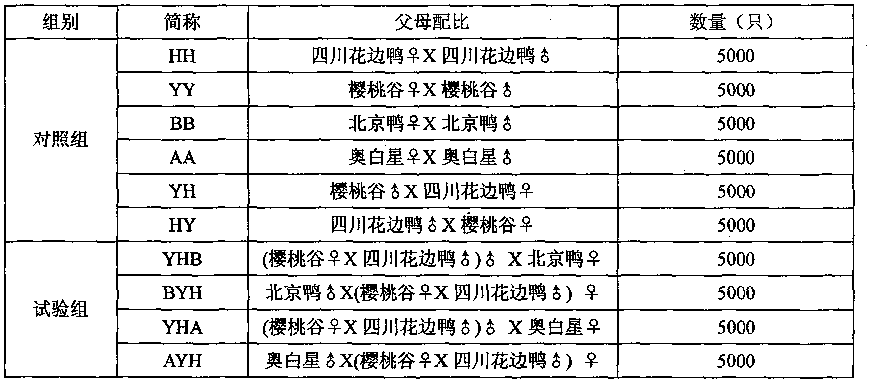 Method for breeding two-point-pattern lacy duck new breed