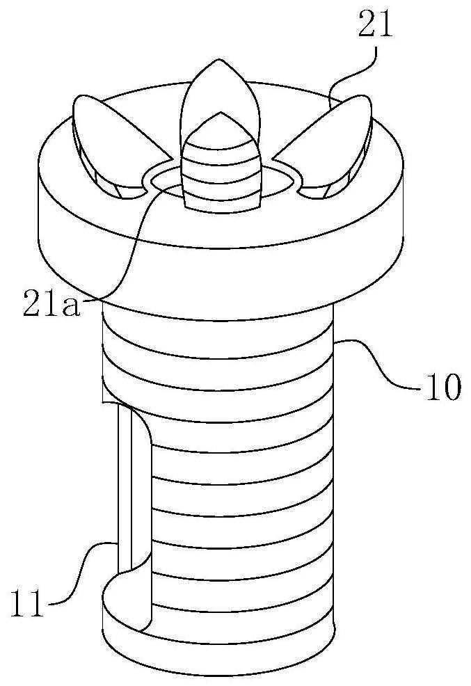 A clavicle intramedullary nail fixation anchor and a clavicle intramedullary nail fixation device