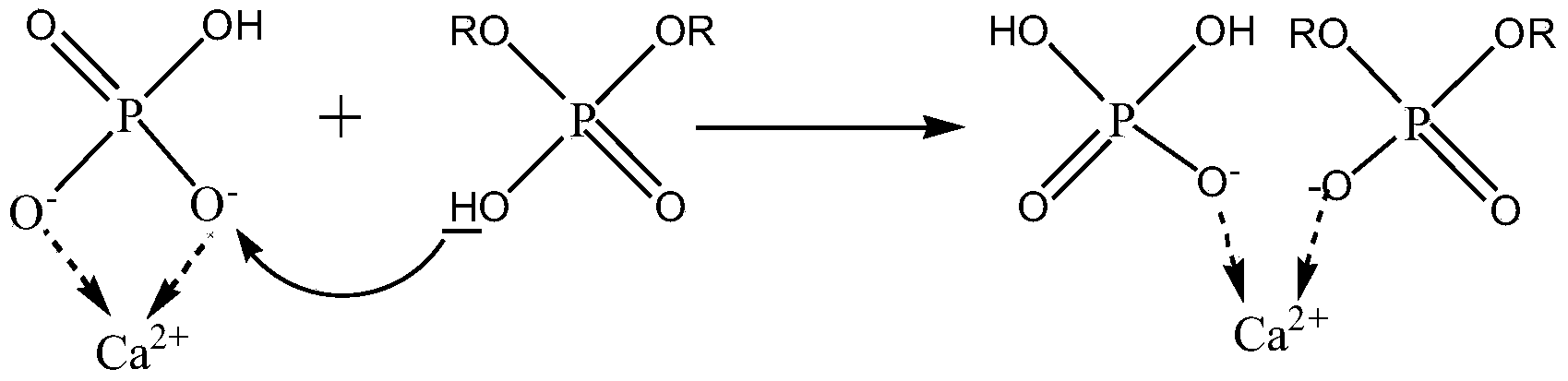 Preparation method and application of modified hydroxyapatite microcapsule biological material carrier