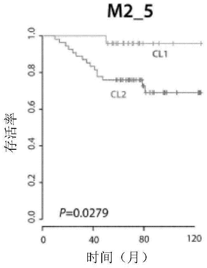 A system for predicting the prognosis of locally advanced gastric cancer