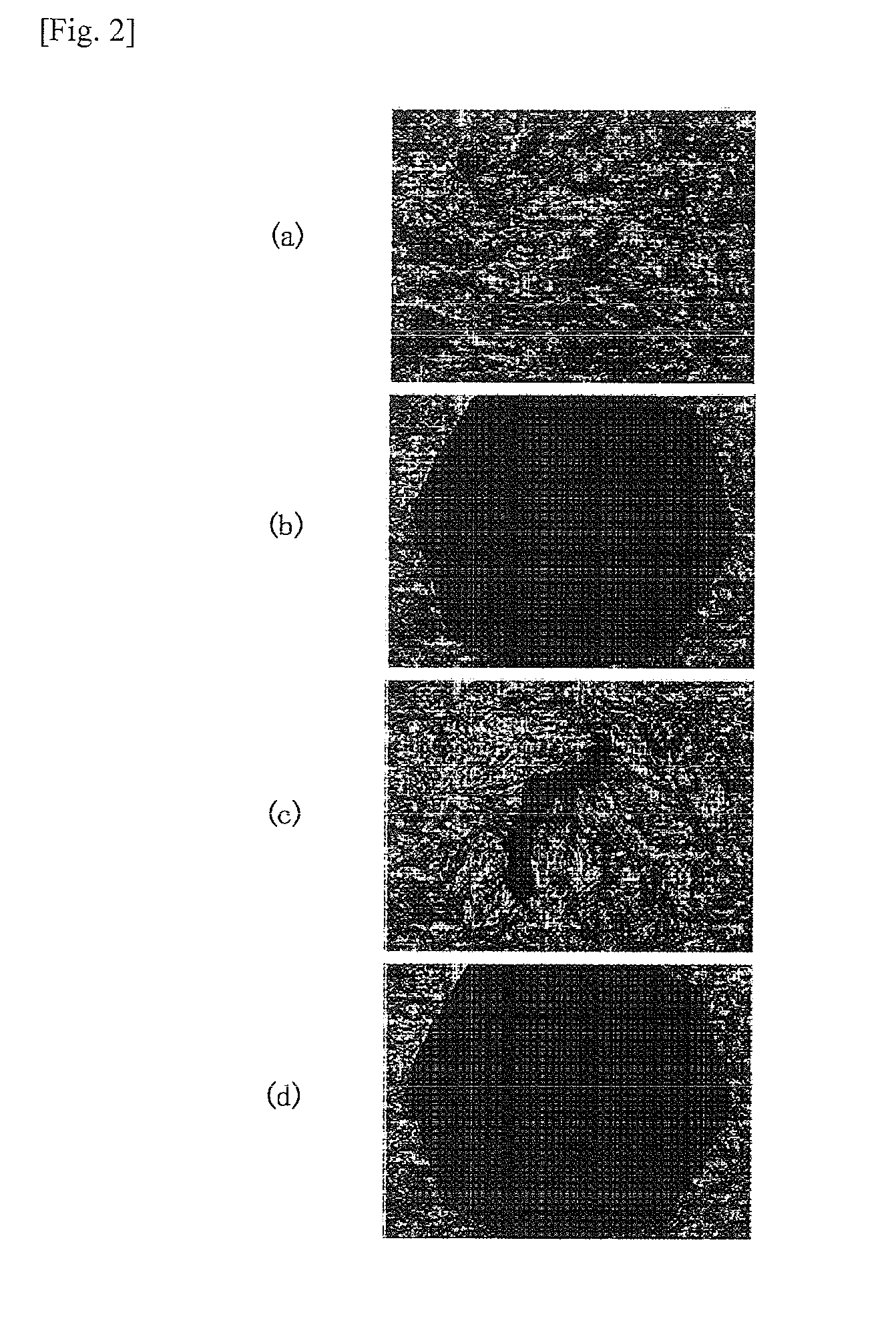 Photosensitive azobenzene derivative