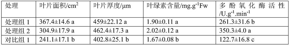 Application of Stropharia polysaccharide, resistance inducer and grape cultivation method