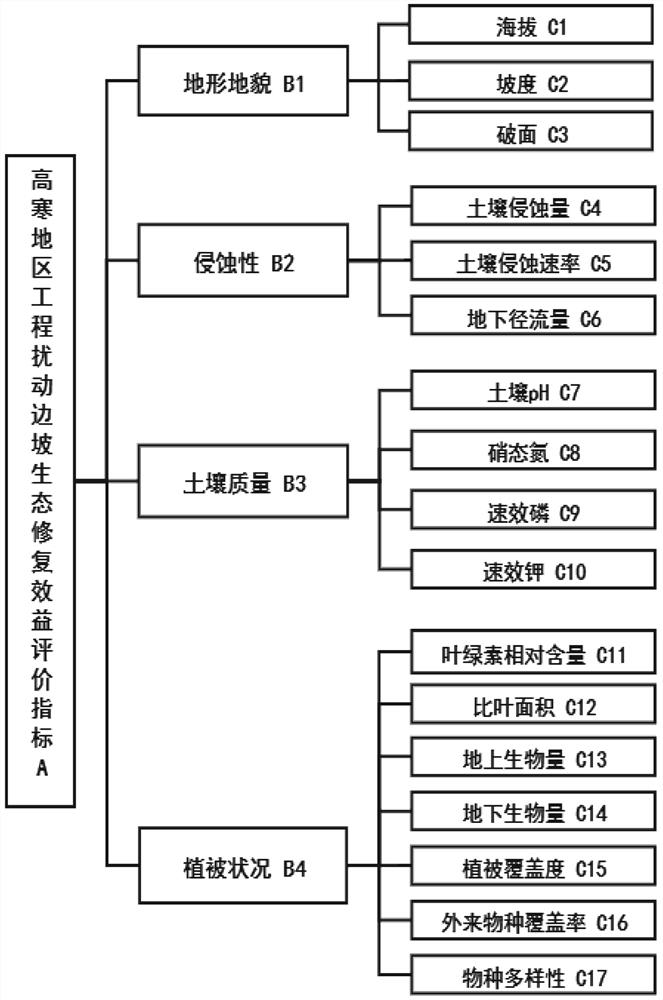 Dynamic evaluation, regulation and control method for ecological restoration benefits of engineering disturbance slopes in high mountain areas