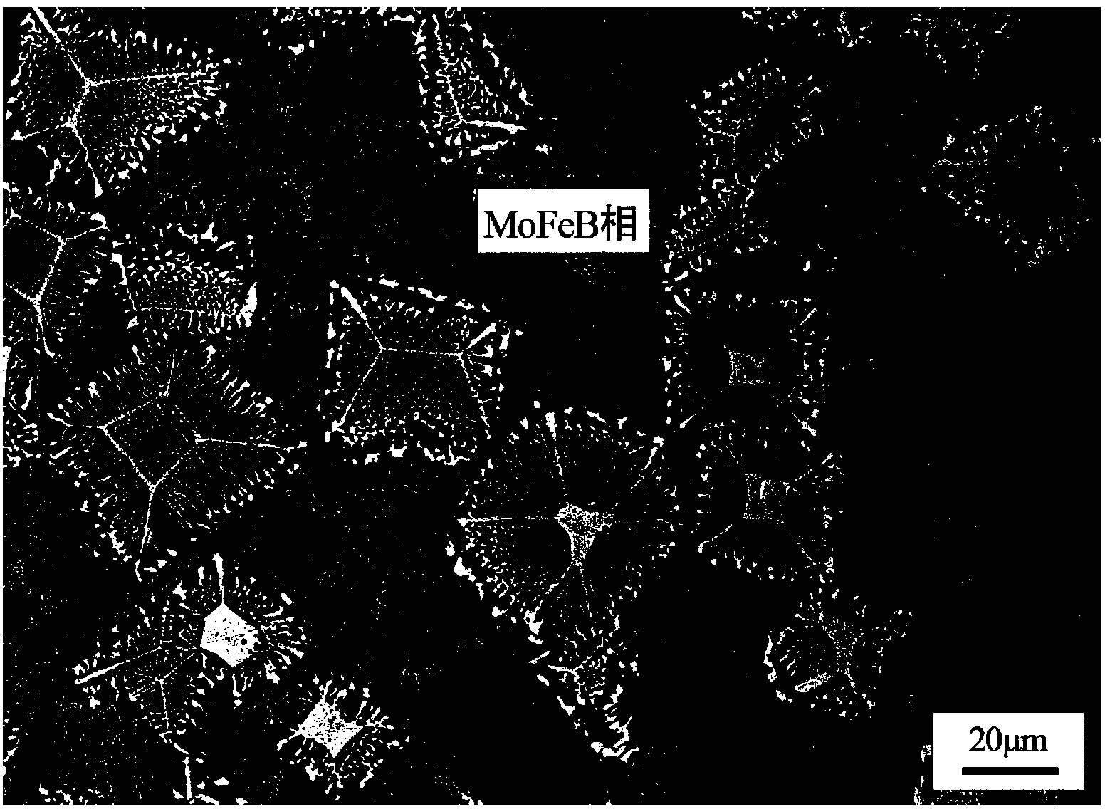 Alloy powder material for Fe-based nonmagnetic cladding layer and cladding layer preparing method