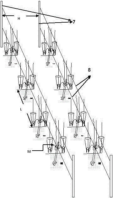 A technical method of combining ground planting and potted grapes