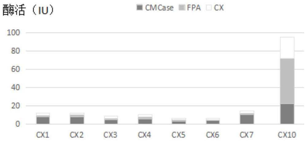 A strain of cellulose degrading bacteria cx10 from termite gut and its application