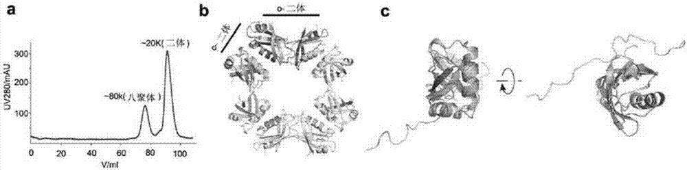 Methods and compositions for treating and/or preventing a disease or disorder associated with abnormal level and/or activity of the IFP35 family of proteins