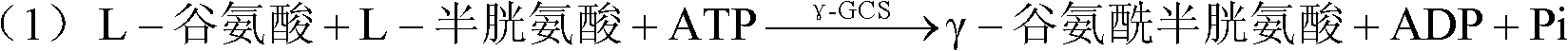 Method for synthesis of glutathione in vitro