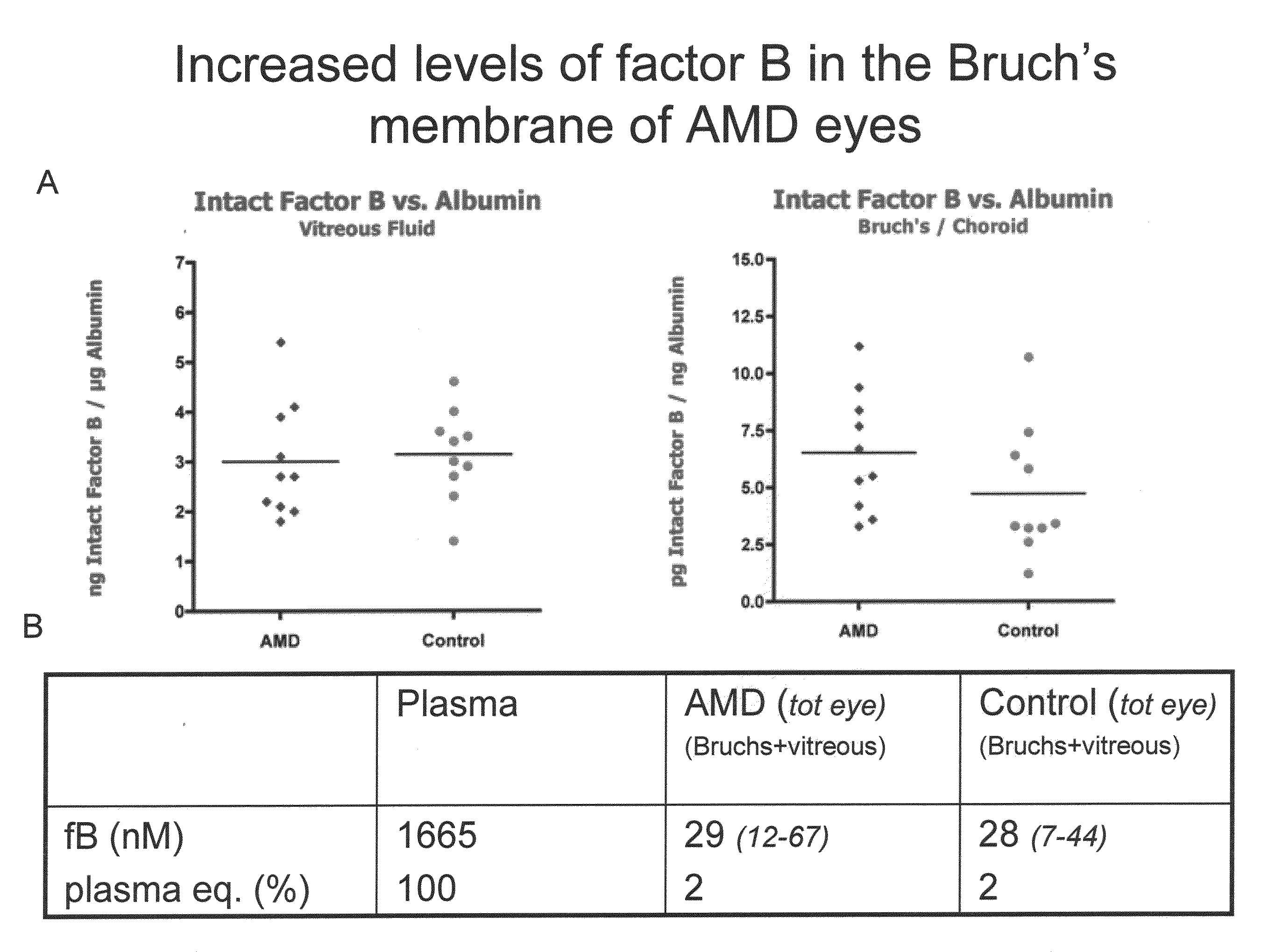 Anti-factor B antibodies and their uses