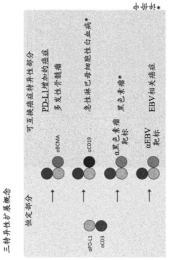 Trispecific antigen binding proteins