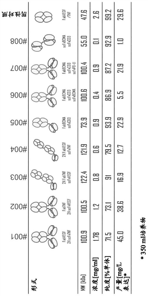 Trispecific antigen binding proteins