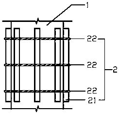 Suspended attached-type dendrobium officinale under-forest planting structure and planting method