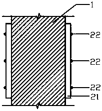 Suspended attached-type dendrobium officinale under-forest planting structure and planting method