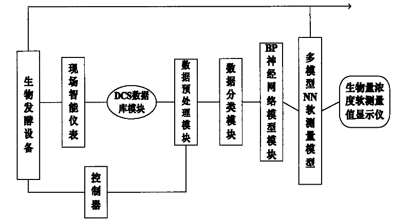 Soft-sensing modeling method and soft meter of multi-model neural network in biological fermentation process