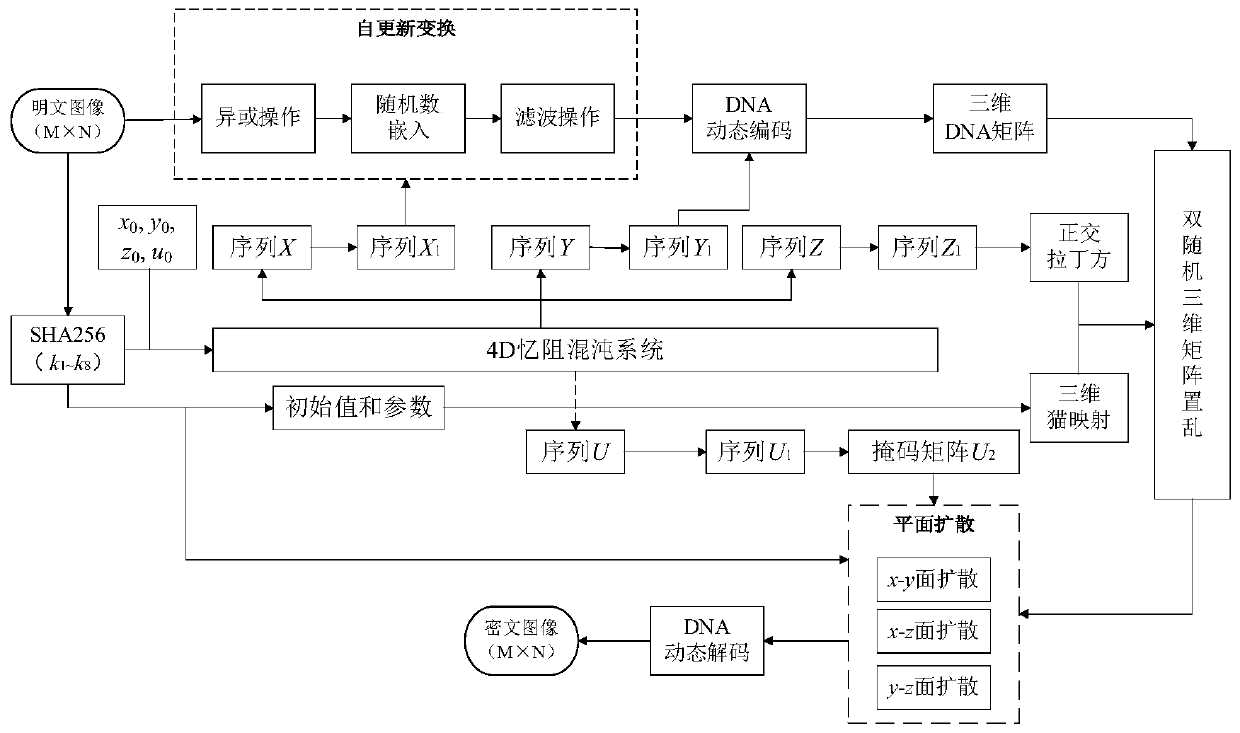 Image encryption method based on self-updating transformation, double random three-dimensional matrix scrambling and DNA calculation