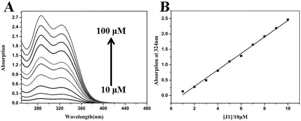 Ribosome rRNA (ribosomal Ribonucleic Acid) two-photon fluorescent probe-quaternary ammonium salt terpyridine derivative as well as preparation method and application thereof