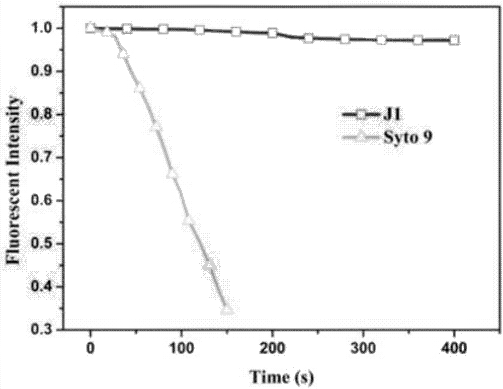 Ribosome rRNA (ribosomal Ribonucleic Acid) two-photon fluorescent probe-quaternary ammonium salt terpyridine derivative as well as preparation method and application thereof