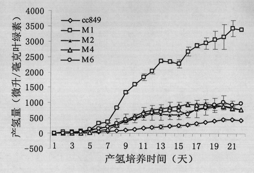 Method for breeding high-yield photosynthetic-hydrogen-production chlamydomonas reinhardtii through cell nucleus insertion mutagenesis