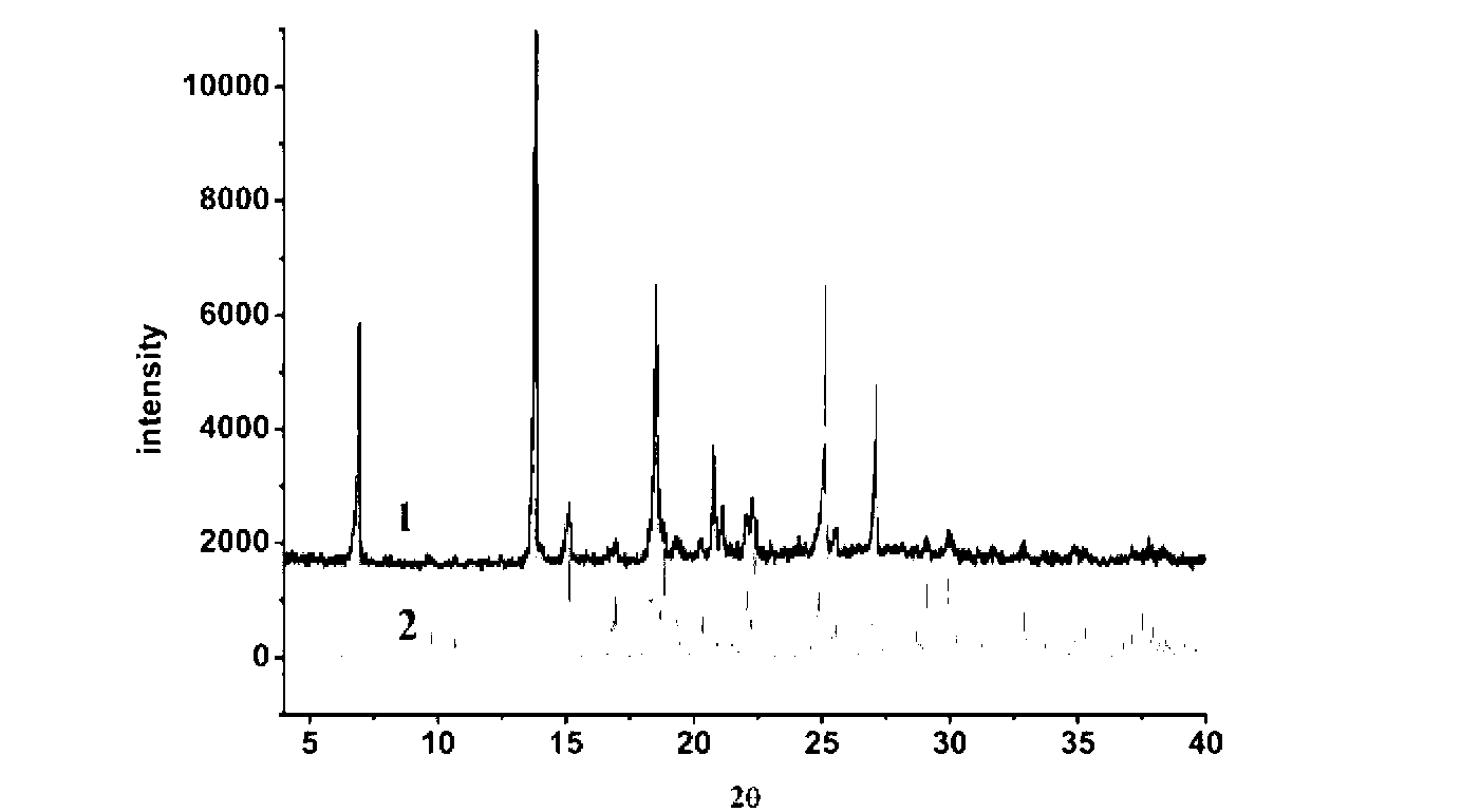 Piracetam pharmaceutical co-crystal taking 3,4-dihydroxy-benzoic acid as precursor and preparation method of piracetam pharmaceutical co-crystal