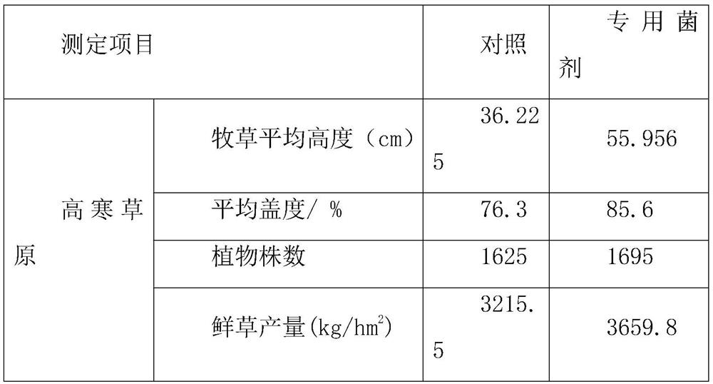 Special microbial agent for natural alpine grassland as well as preparation method and application of special microbial agent