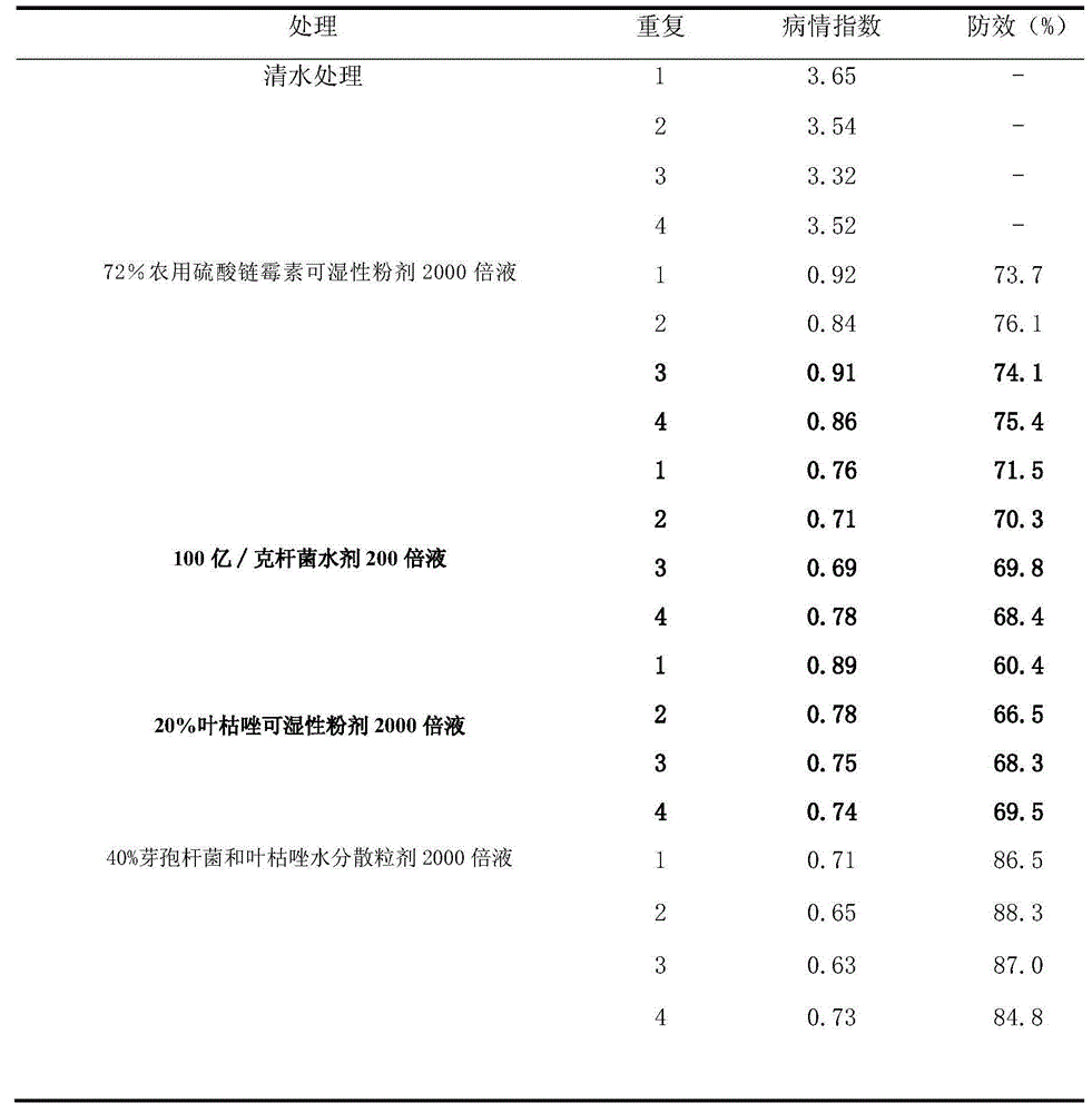 Bactericide composition containing bacillus methylotrophicus and bismerthiazol as well as application of bactericide composition