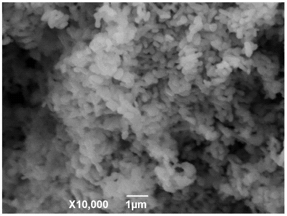 A kind of preparation method of rice-like α-fe2o3 nano-powder