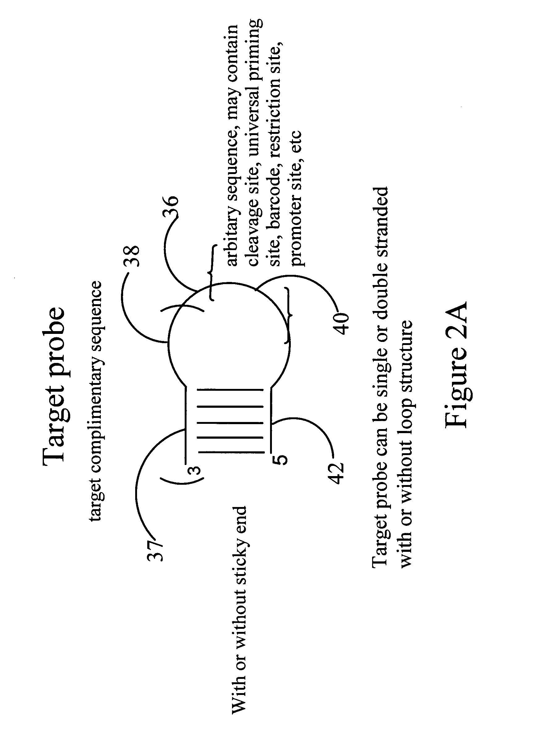 Method and kit for nucleic acid sequence detection