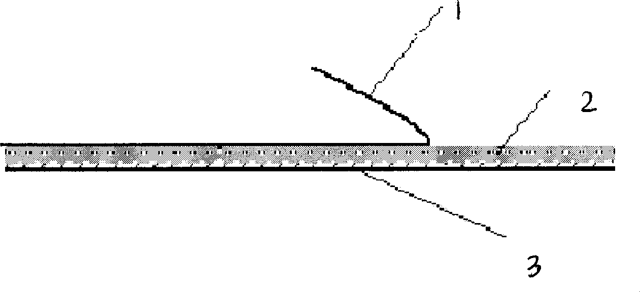 Risperidone percutaneous absorption paster