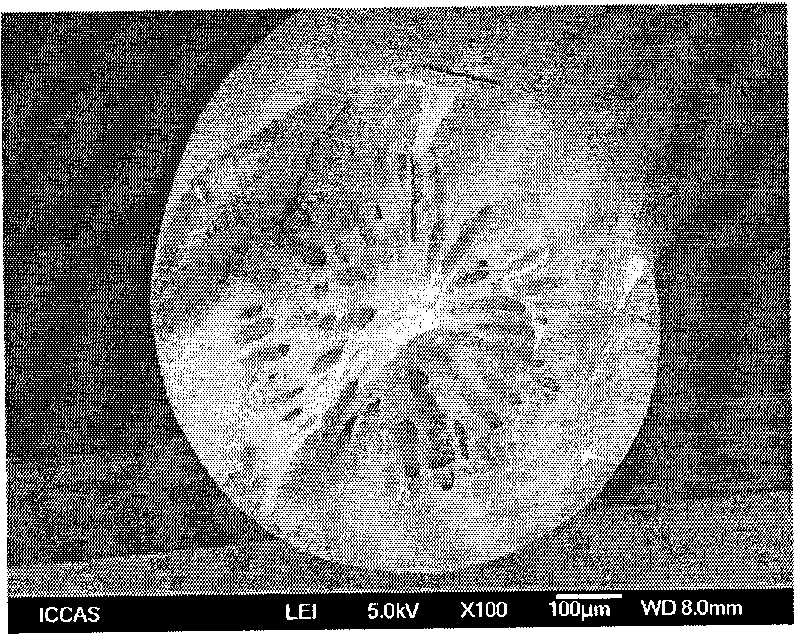 Preparation method of polyacrylonitrile precursor