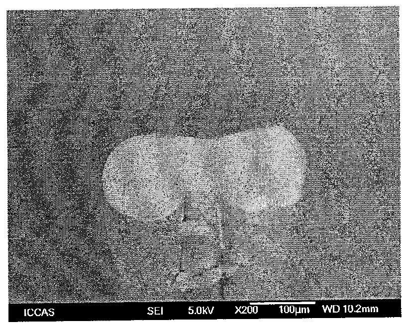 Preparation method of polyacrylonitrile precursor