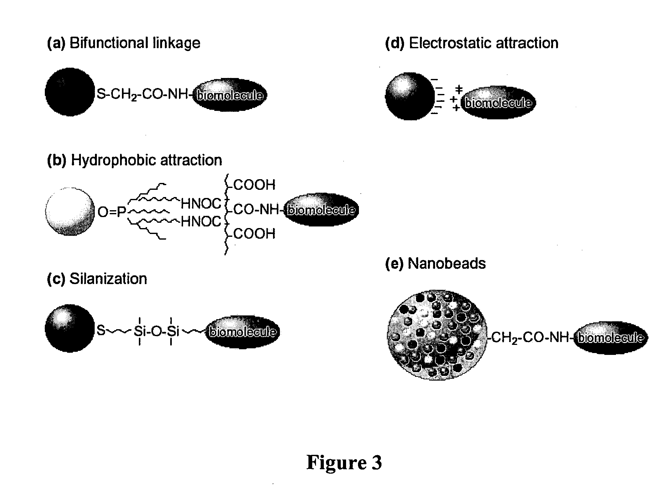 Use of particulate labels in bioanalyte detection methods